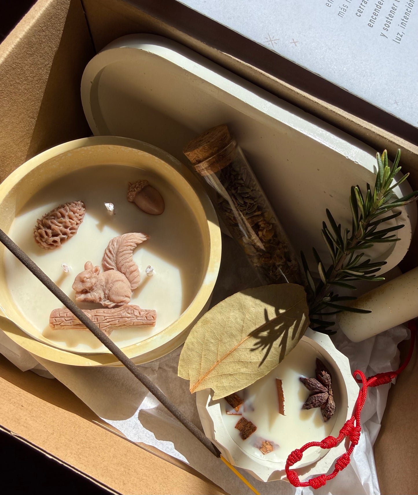 PACK: Luz de Invierno