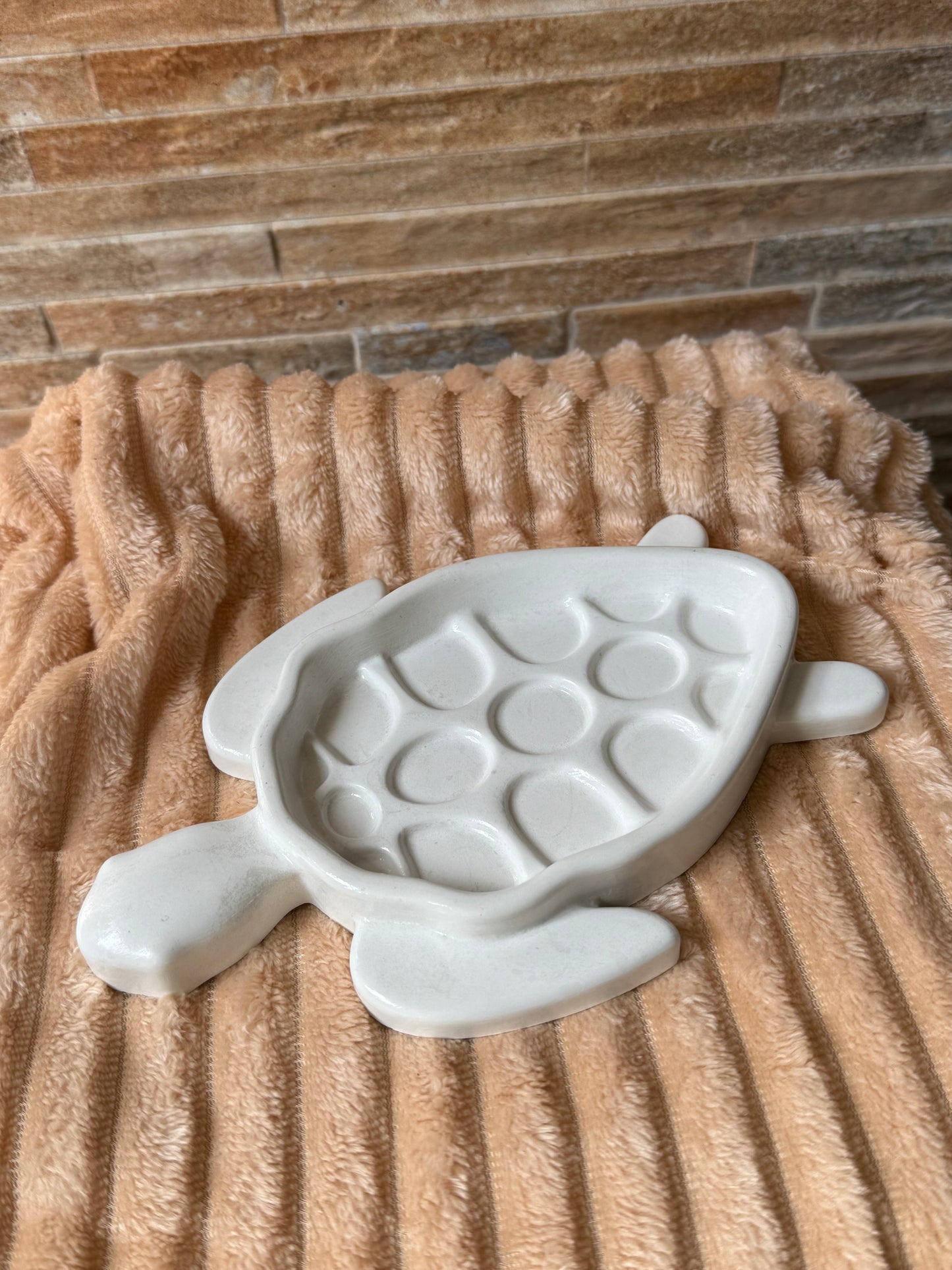 Bandeja Tortuga