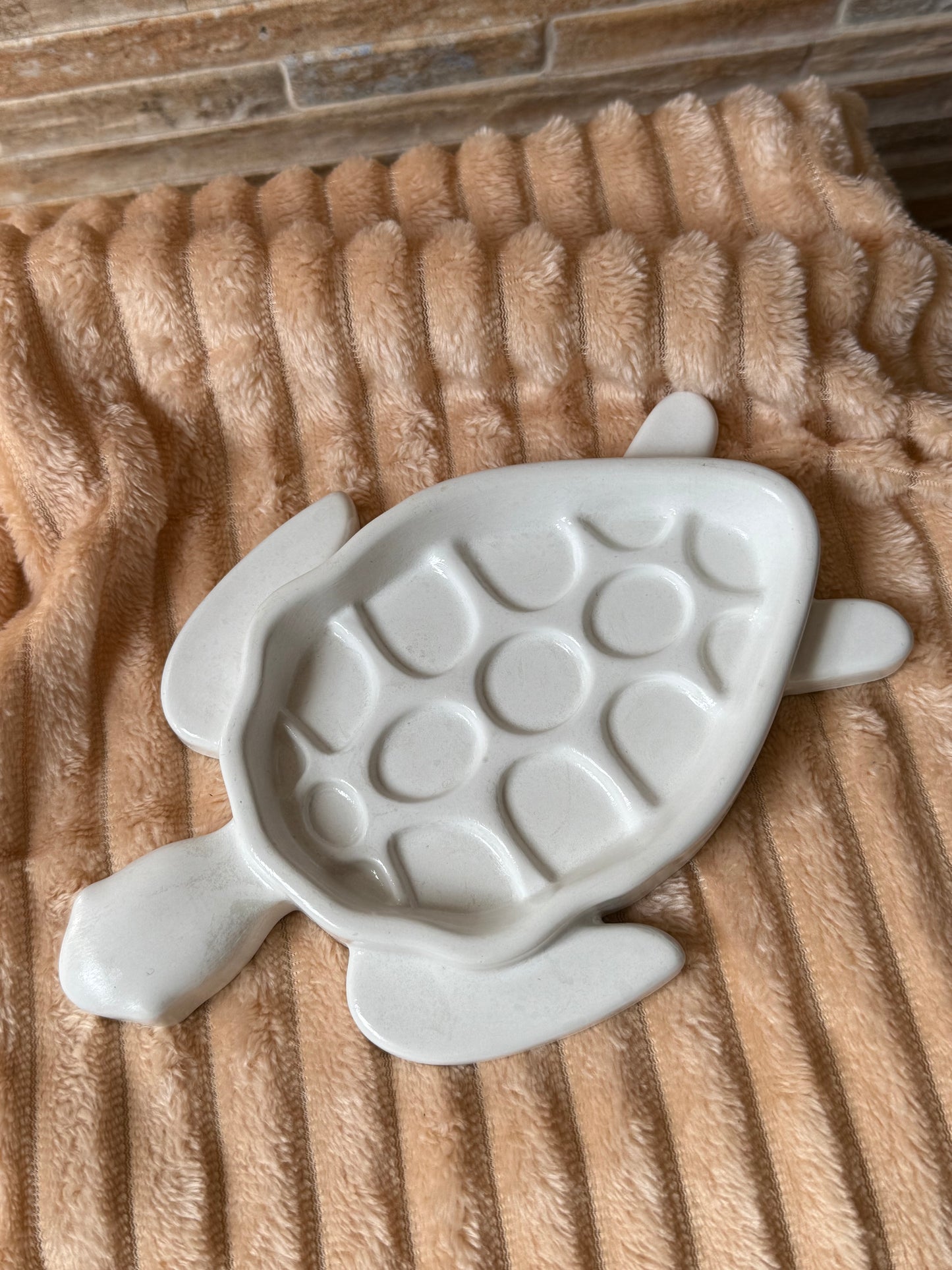 Bandeja Tortuga
