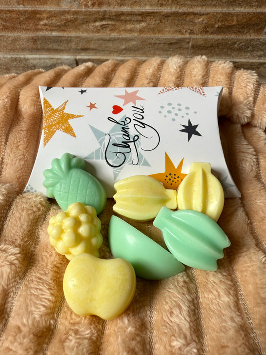 Fisquitos FRUTA EXÓTICA (wax melts)